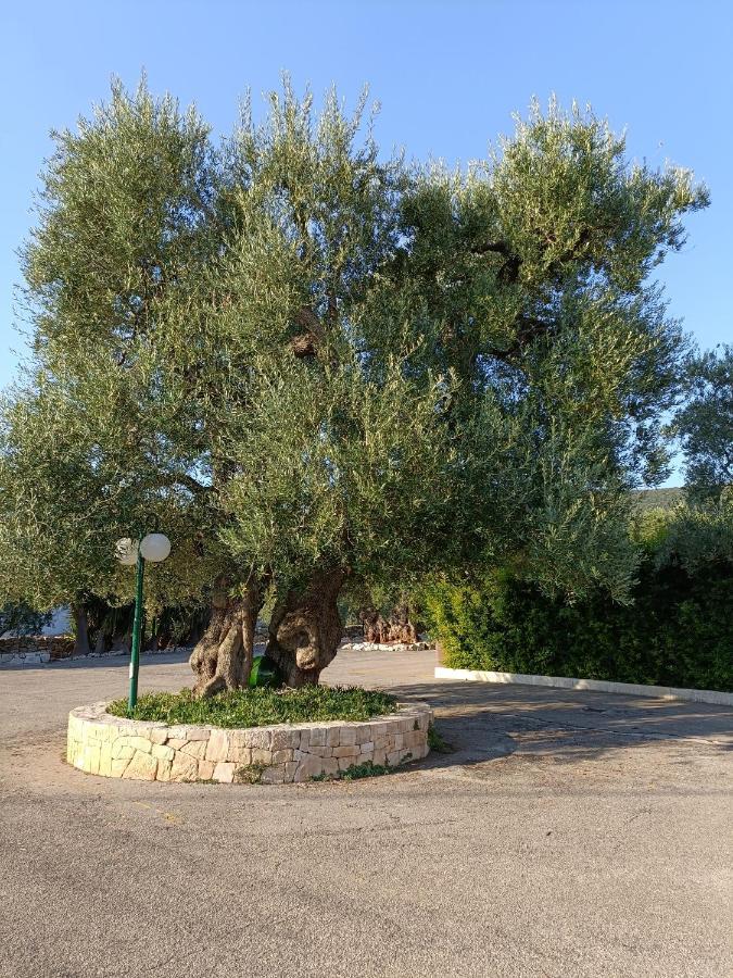 Masseria Galleppa By Apulia Hospitality Macchia di Monte Exteriör bild